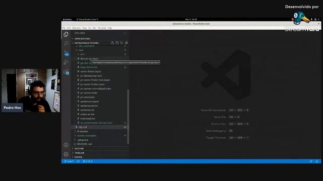 Natural Language Processing (NLP) no Java com OpenNLP смотреть онлайн