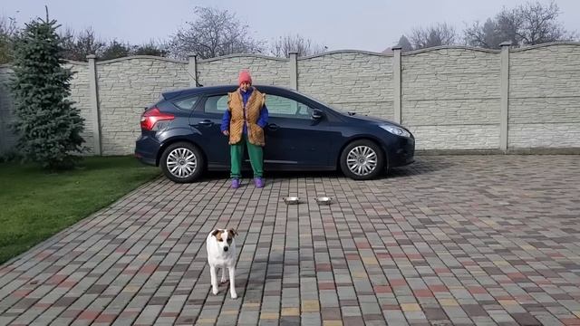 Мама думала что выпал снег ! Подстригаем розы смотреть онлайн