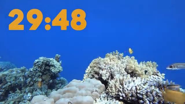 60 Minute 4K Aquarium Countdown with Relaxing Piano Music ?? смотреть онлайн