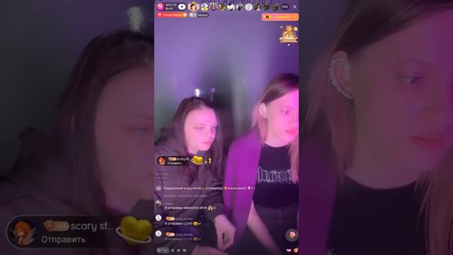 Две девчонки  общаются в чате