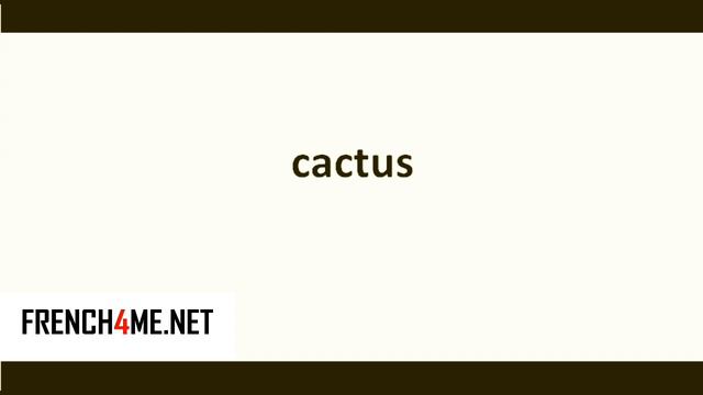 Learn French I How to pronounce I cactus смотреть онлайн