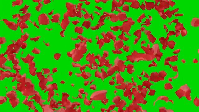 ФУТАЖ Сердце из лепестков розы (на хромакее) смотреть онлайн