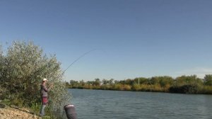 Удочка с Алиэкспресс. Обзор бюджетного махового удилища 5.4 метра 28 класса.