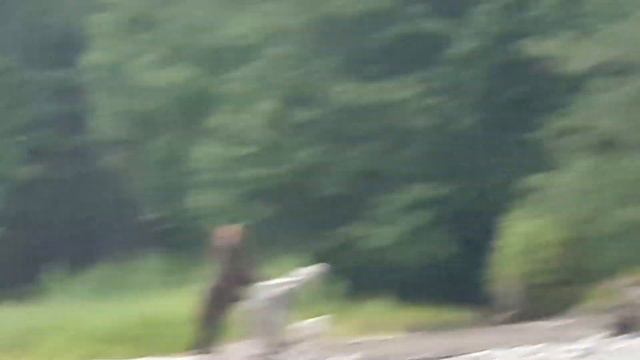 Любопытство сильнее страха! смотреть онлайн