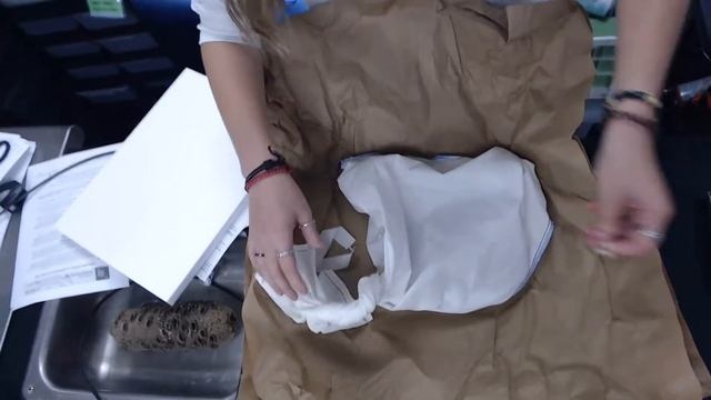 Samwise Unboxing Sep 21, 2021 3 14 PM смотреть онлайн