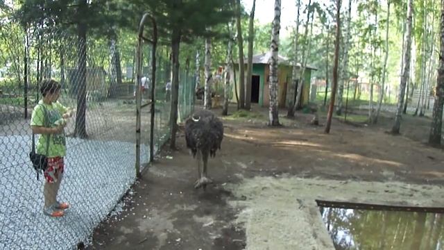 22 июля 2011 парк Маяковского смотреть онлайн