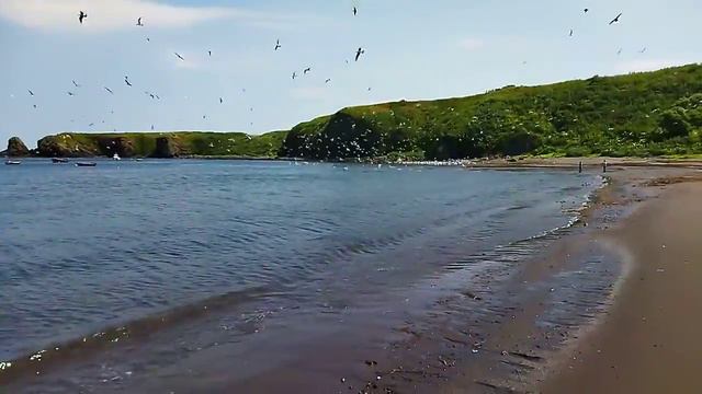 бухта Оля. село Рейдово. остров Итуруп. смотреть онлайн