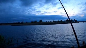 ? Рыбалка на сома весной с берега #DENLife