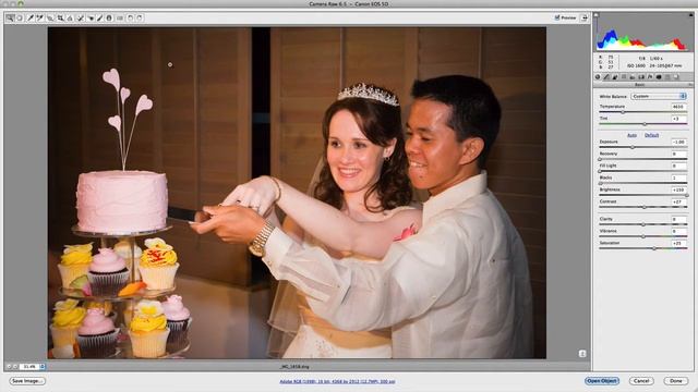How To Open Raw Files In Adobe Bridge & Photoshop смотреть онлайн