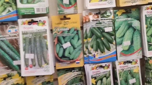 Как выбрать семена огурцов? смотреть онлайн