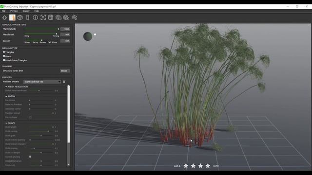 PlantCatalog: 3D Papyrus sedge - Cyperus papyrus - procedural vegetation engine смотреть онлайн