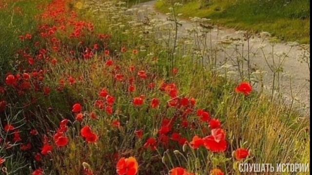 Всю жизнь не любила свекровь невестку, но после того что та сделала была в полном шоке... смотреть онлайн