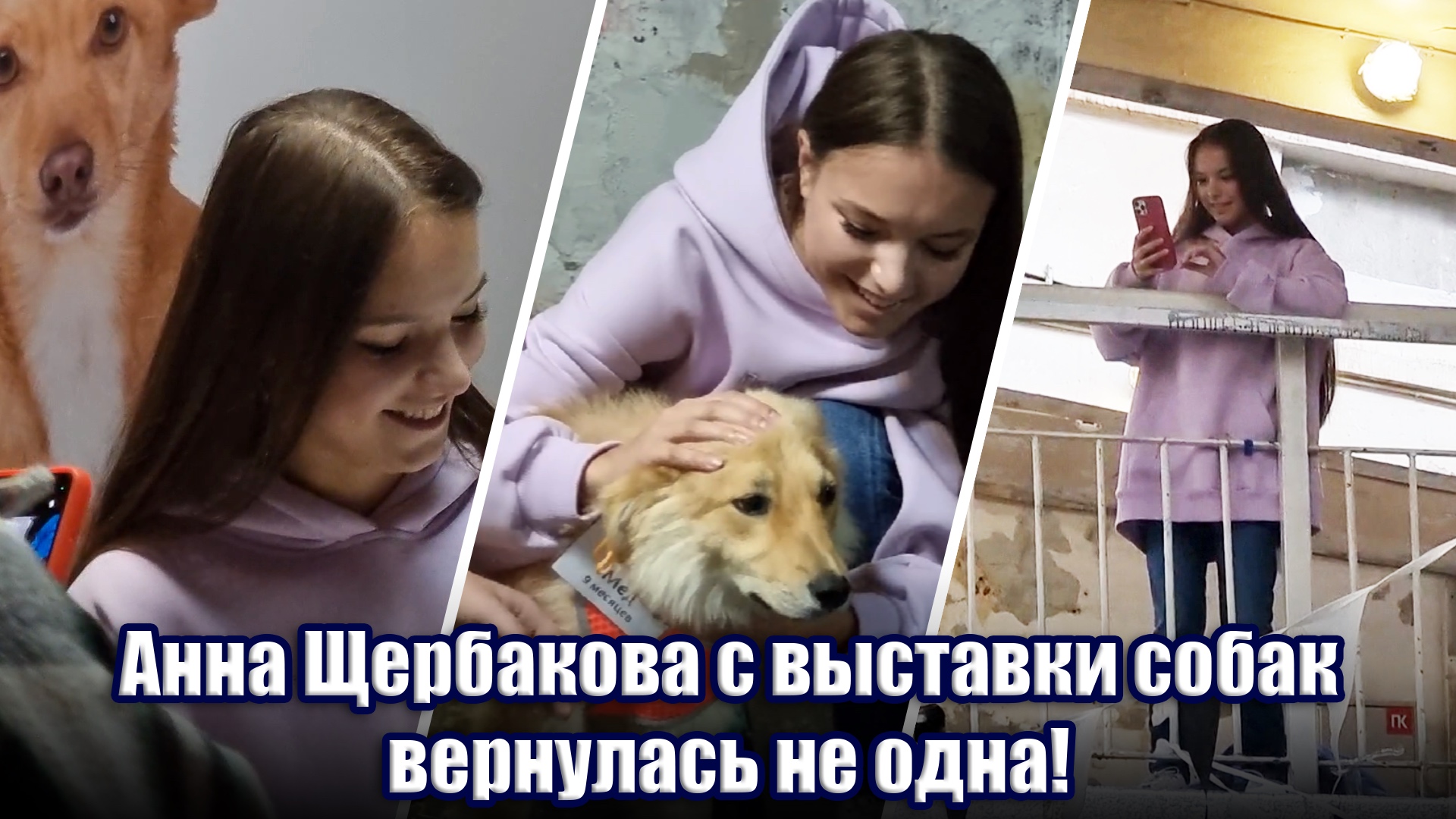 Анна Щербакова с выставки бездомных собак вернулась не одна :) смотреть онлайн