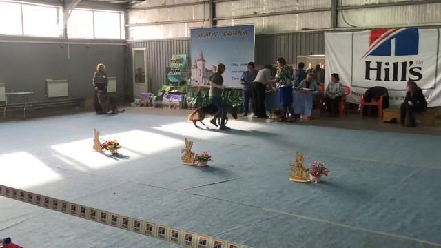 7 марта 2020 г. Зависть Богов Симона ЛПП смотреть онлайн