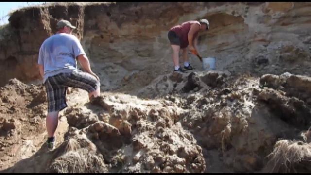 Пущино работа