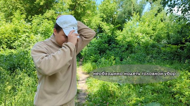 VID_20240621_095336_543 смотреть онлайн