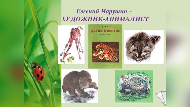 Познай загадки природы смотреть онлайн
