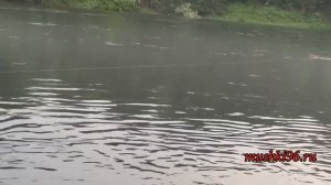 Рыбалка с Просвирниным Анатолием Реверсивный кораблик "Tosya"