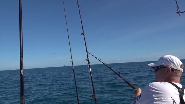 TROLLING for Yellowtail THEN called by HOMELAND SECURITY {Catch and Cook} смотреть онлайн