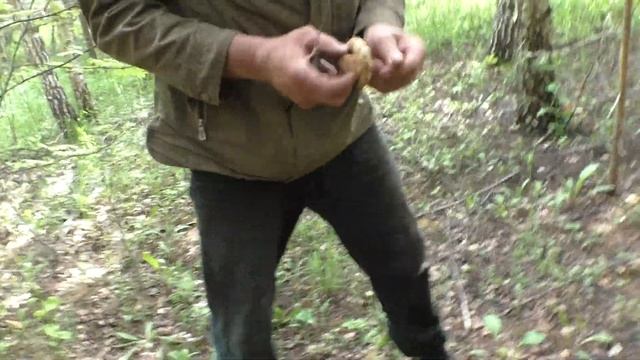 Море грибов, НО... смотреть онлайн