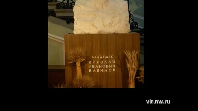 вавилов проект 2012 смотреть онлайн