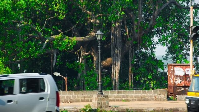 TETOUZE India (travel music clip) смотреть онлайн