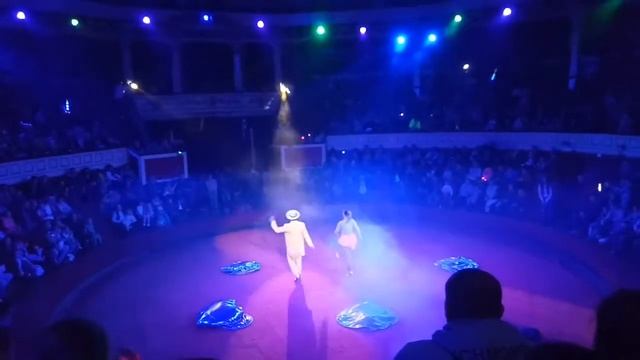 Одесский цирк сильные люди и слоны 3 часть. смотреть онлайн