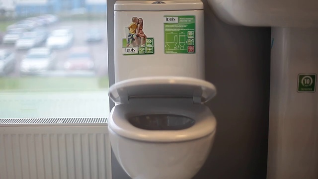 Обзор «Сиденье для унитаза "Iddis", универсальное, цвет: белый. 001DPSEi31» смотреть онлайн