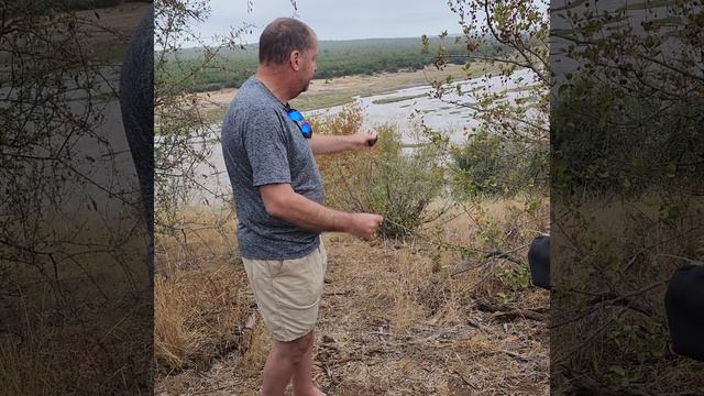 Nerina Nel Fielding Tribute Kruger National Park 22 May 2023 (Part 4) смотреть онлайн