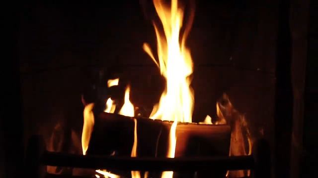 Тренды в мире ухода за волосами