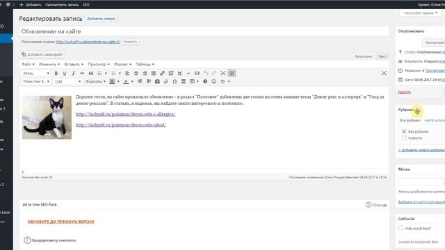 Изменить дату записи в вордпресс смотреть онлайн