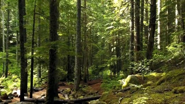 Гарри Поттер и Философский камень. смотреть онлайн