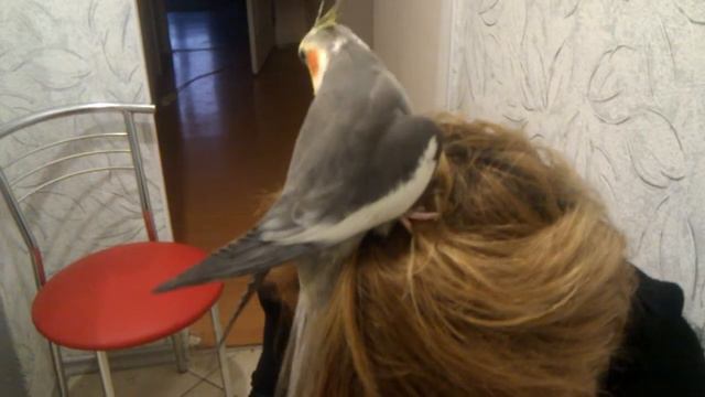 Половой инстинкт! смотреть онлайн