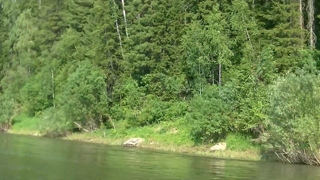 Река Томь, ниже д.Усть-Нарык. смотреть онлайн