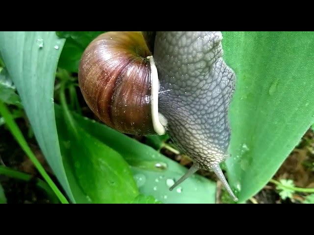 27 мая 2022 г. смотреть онлайн