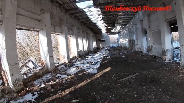 15 января - Текущие дела, шестирамочник Пеноулик, прогулка по селу...