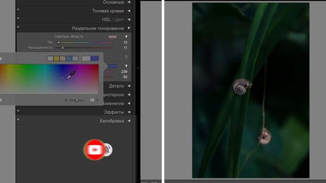 Как обработать темную фотографию в Лайтруме смотреть онлайн