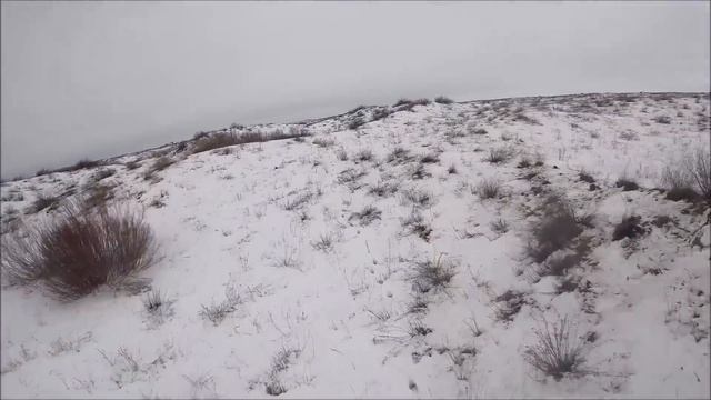ПЕРВЫЙ ВОЛК НИТРЫ. охота на волков hunting wolves смотреть онлайн