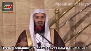 Истории Пророков 8 из 29 _ Худ (Мир ему) _ Муфтий Менк