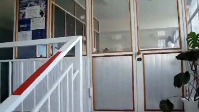 г.Майкоп, ул.Пионерская, 379а (внутри) смотреть онлайн