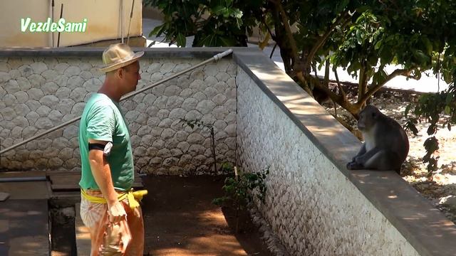 Остров Бали. Клип Валерии. Храм Улувату. Приколы с обезьянами. смотреть онлайн