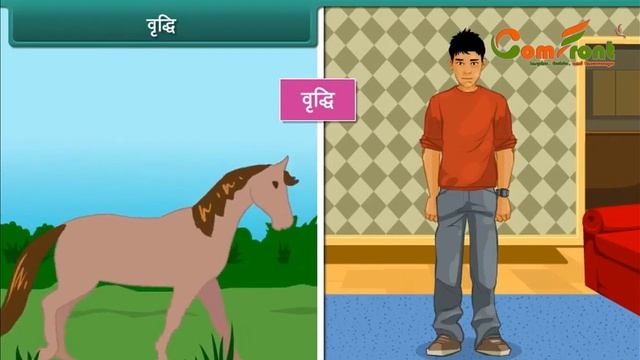 Living and Non living Things (EVS) II Class 4 II Hindi II Comfront #cartoon #education смотреть онлайн