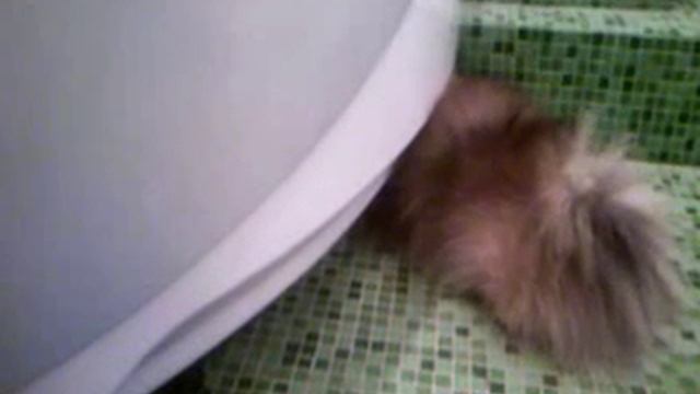 Достаньте мне мячик! смотреть онлайн