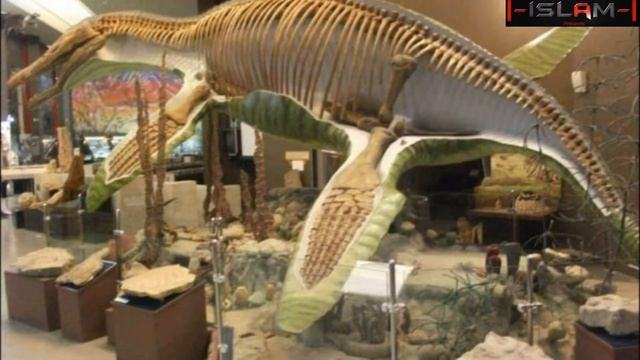 Самара и главные достопримечательности города! смотреть онлайн