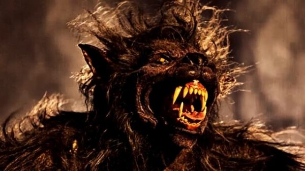 10 SKINWALKER ENCOUNTERS [SCARY TRUE ENCOUNTERS]