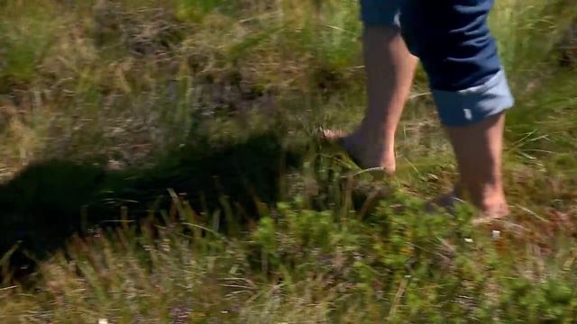 Ocalony Świat - Odc. 3 - Dlaczego Głuszec żyje W Głuszy.mp4