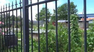 ДАЧНЫЕ УЧАСТКИ - ОГОРОДЫ В АНГЛИИ