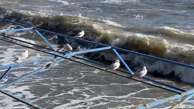 Волна 1 смотреть онлайн