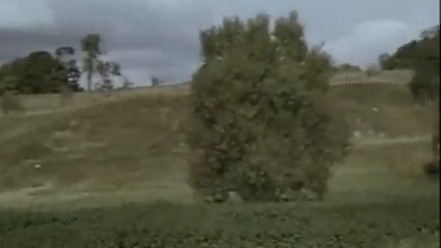 А Мартина будет прясть смотреть онлайн