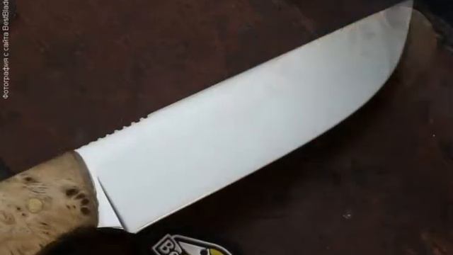 Товарищество Завьялова нож Сити Н-141 (N690, стабилизированное дерево) смотреть онлайн